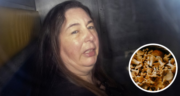 Caso de Erin Patterson