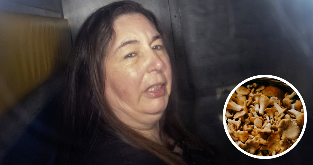 Caso de Erin Patterson