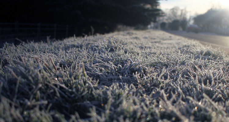 Escarcha por bajas temperaturas en el sur de Chile