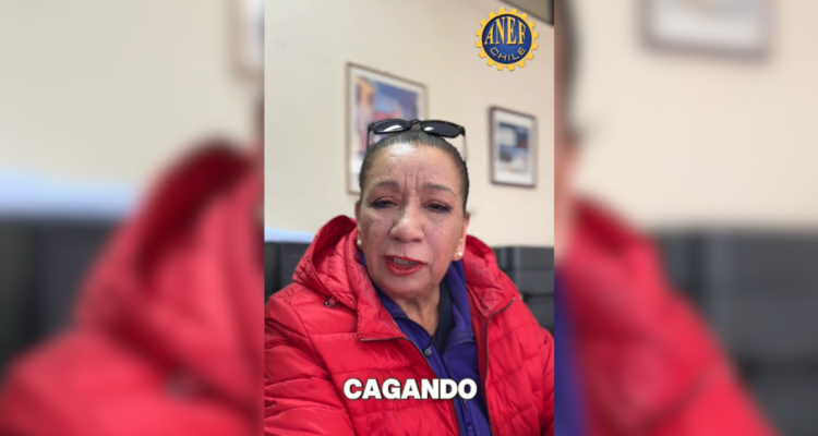 “Este gobierno nos está cagando”: Vicepresidenta de ANEF llama a paro nacional por ley de licencias