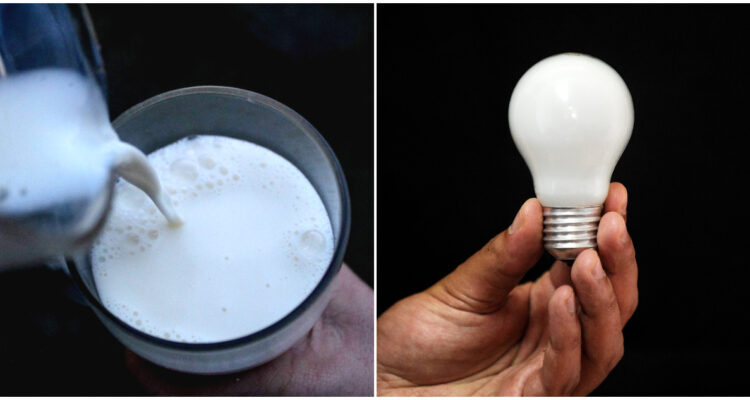 Chile será sede de 2 eventos internacionales: uno del rubro lácteo y otro del sector energético