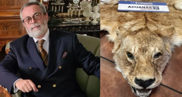 Exembajador que intentó ingresar pieles al país no llegó a su formalización: dio dirección falsa a PDI