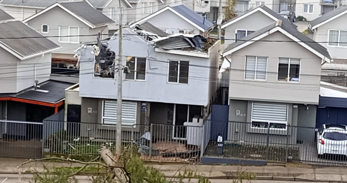 Un gigantesco árbol cayó sobre su casa y responsables aún no la reparan: llevan 4 meses viviendo fuera