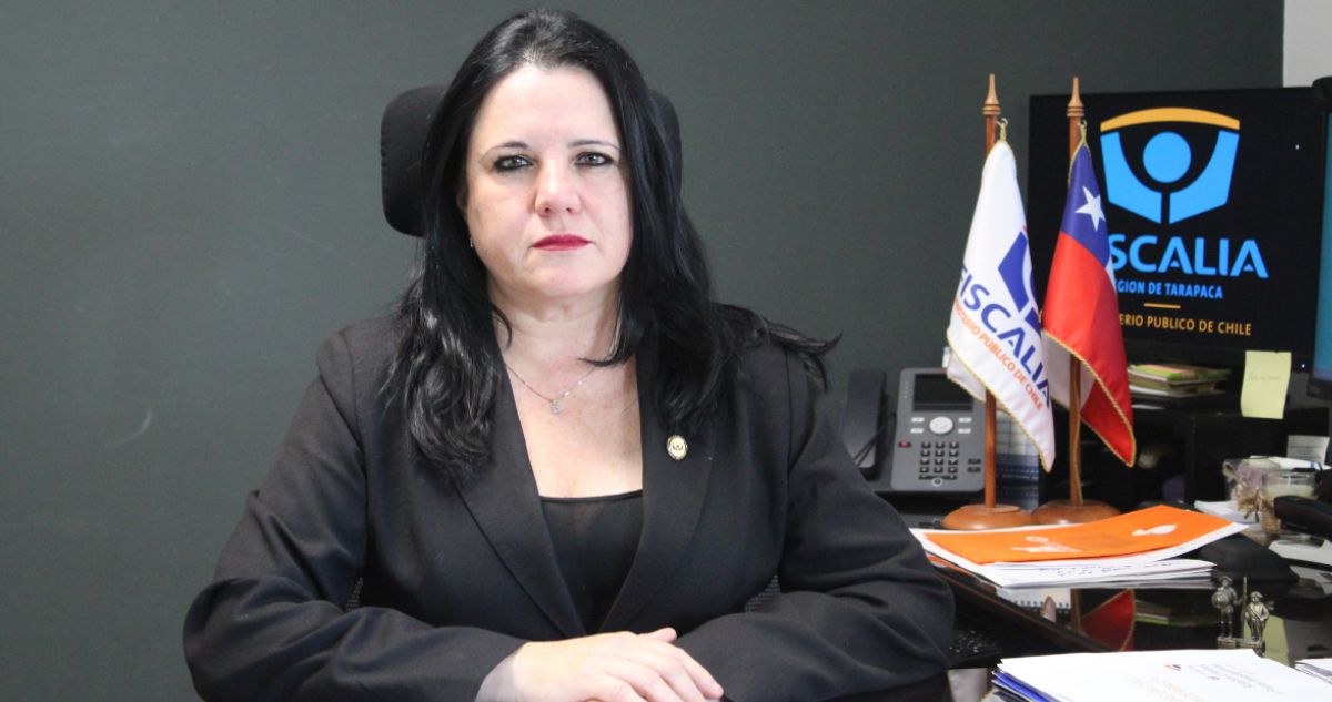 Steinert destaca necesidad de mejorar controles internos tras detención de 5 funcionarios de la FACh