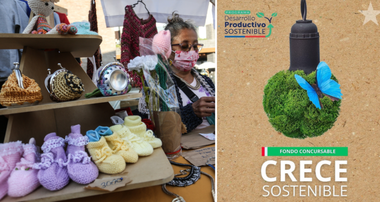 Plazo está por vencer: cómo postular al fondo Crece Sostenible 2025 que da hasta $9 millones a pymes