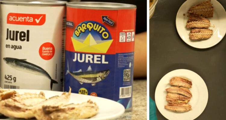De origen chino: denuncian 30 millones de tarros con “jurel falso” en Chile y apuntan a cuatro marcas
