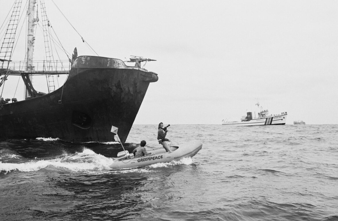 Greenpeace detienen a un barco arponero ruso