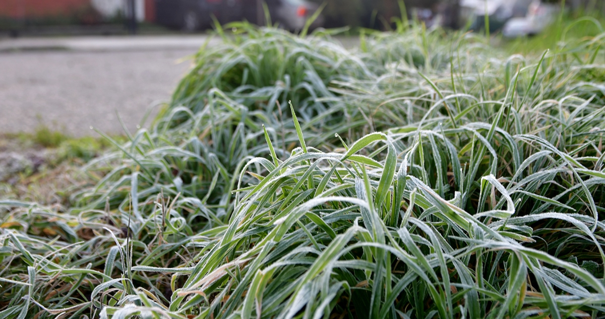 Rotura de medidores por bajas temperaturas en Valdivia