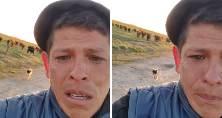 “Pobrecito”: hombre despedido conmueve por tener que dejar a perro que lo acompañó años en su trabajo