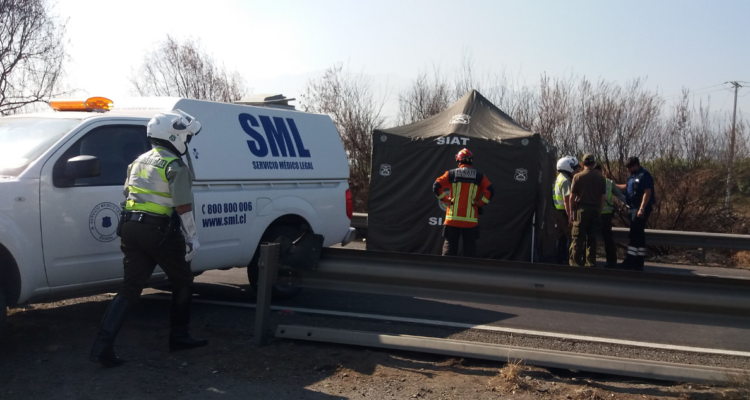Hombre que atropelló y mató a mujer de 70 años en ruta a Valdivia cumplirá condena en libertad