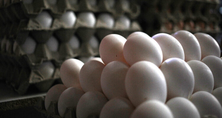 Gobierno destaca que huevos y otros alimentos han bajado de precio