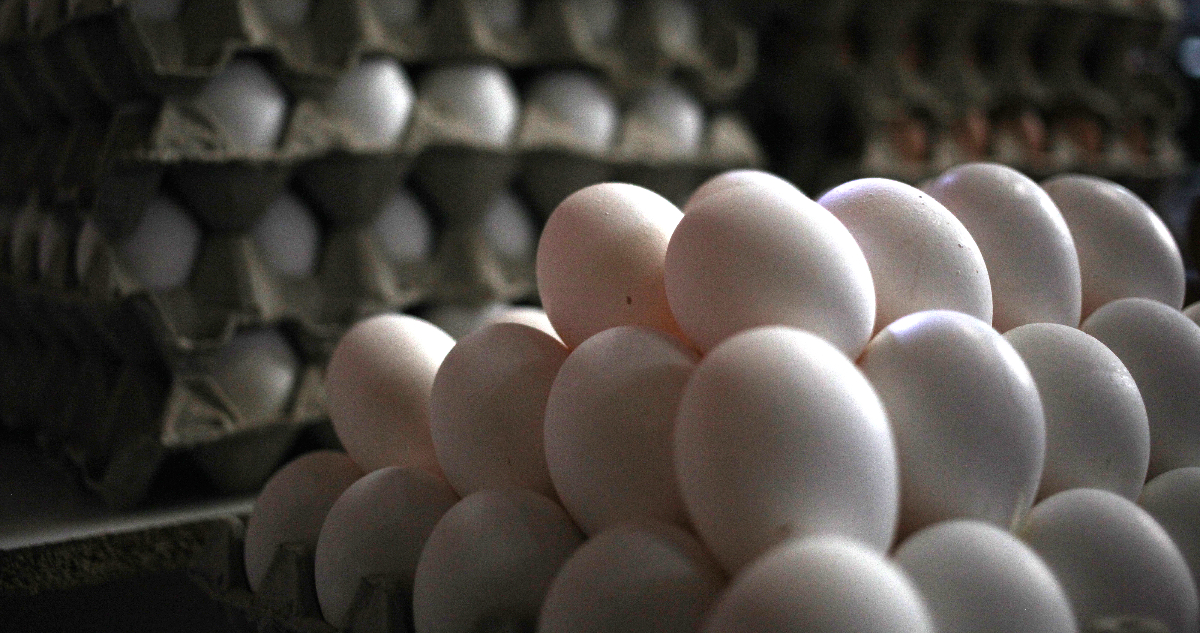Gobierno destaca que huevos y otros alimentos han bajado de precio