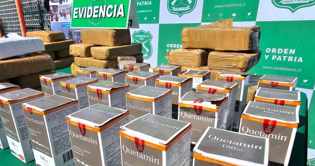 Incautaciones de ketamina se triplican en Antofagasta y alertan de red transnacional