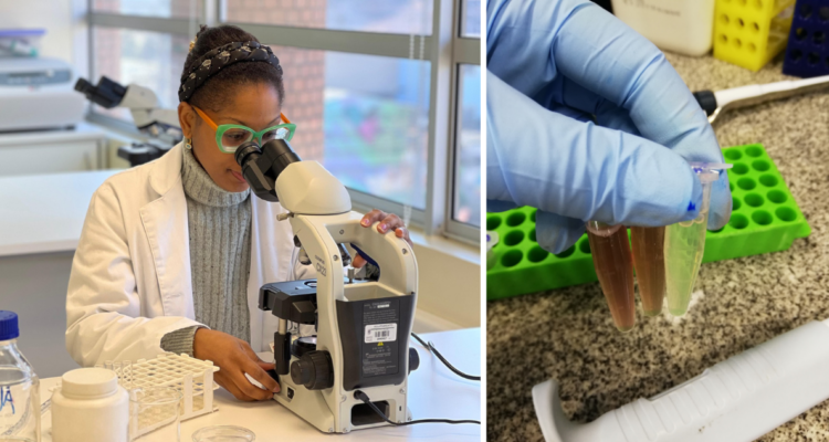 Investigación chilena busca mejorar tratamiento de la leucemia infantil con bacterias de la Antártica
