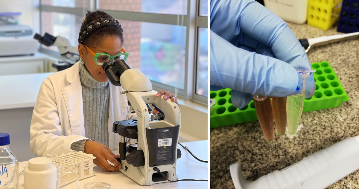Investigación chilena busca mejorar tratamiento de la leucemia infantil con bacterias de la Antártica