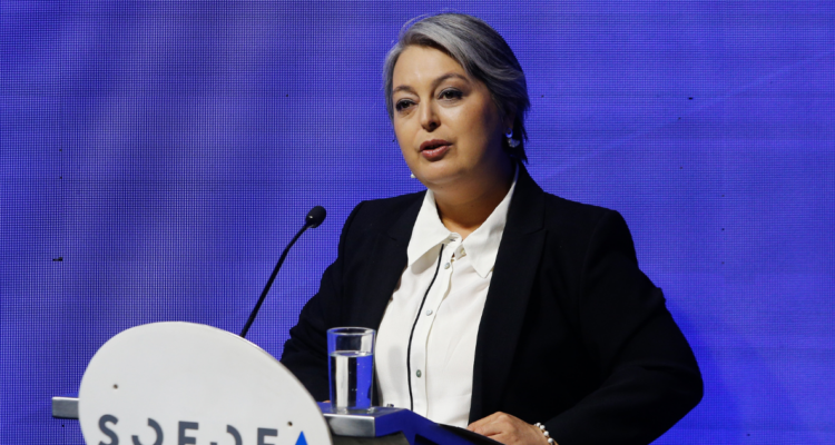 Jara advierte que Chile “abre mercados para el crimen organizado” por su geografía