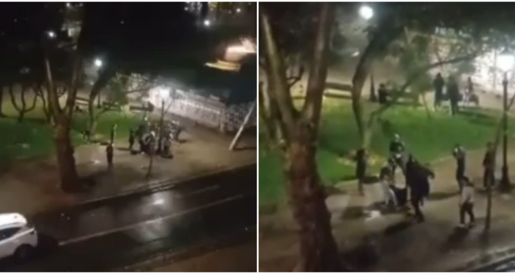 Nuevo asalto tipo “jauría” en Santiago: joven termina apuñalado en el Parque Forestal