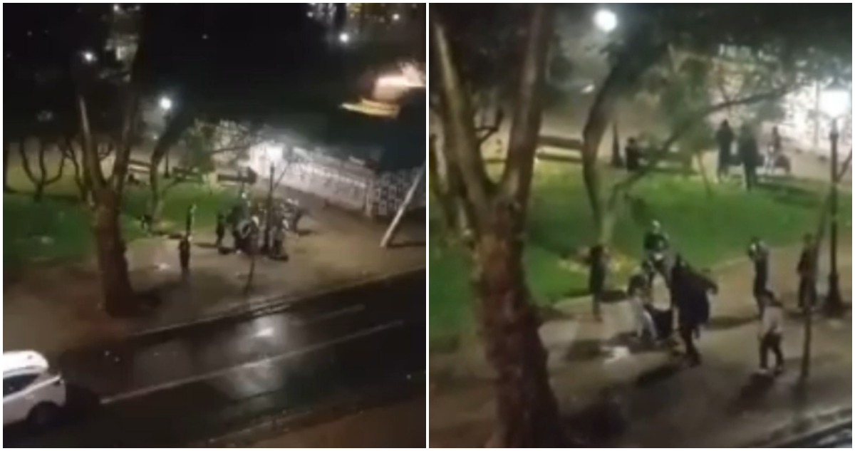 Nuevo asalto tipo “jauría” en Santiago: joven termina apuñalado en el Parque Forestal