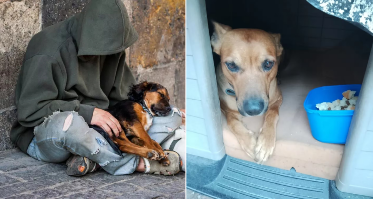 Caso de Juan Carlos Leiva