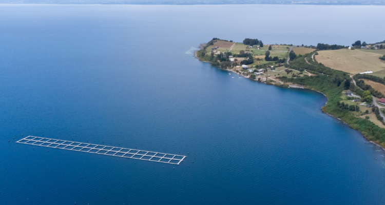 Imagen de Lago Llanquihue por escape de salmones ocurrido en 2023