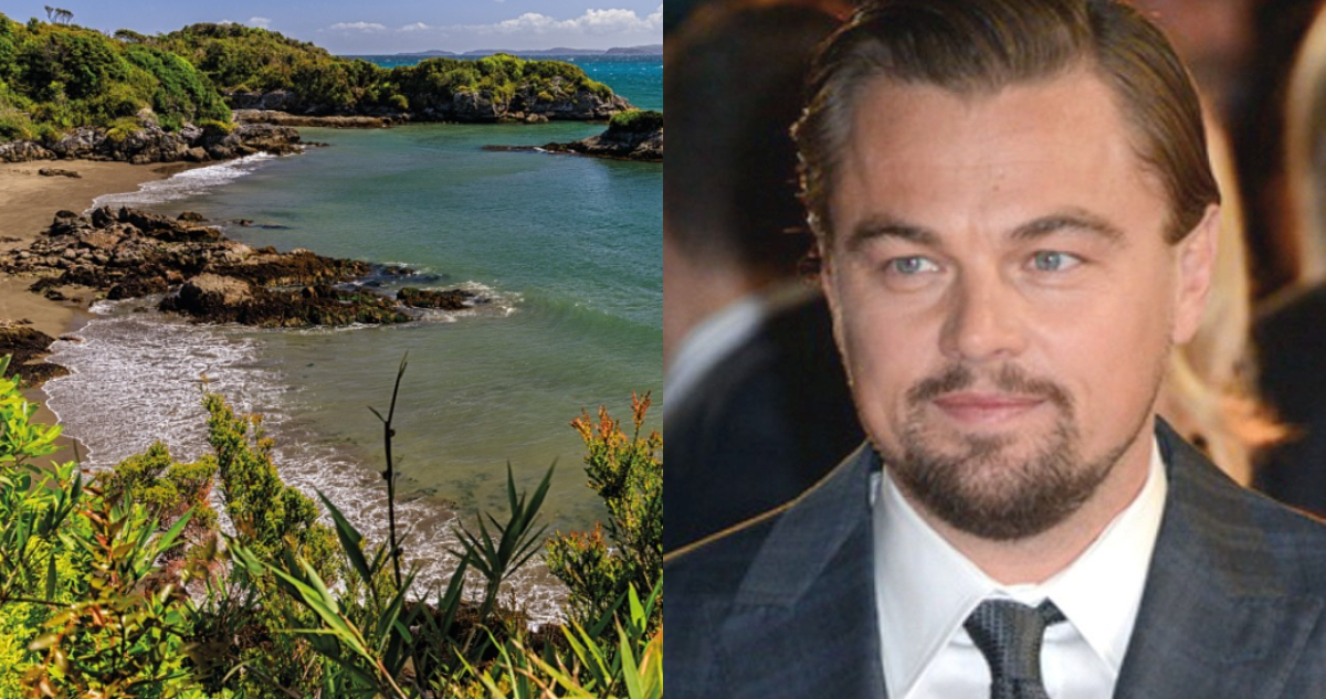 Leonardo DiCaprio reafirma compra de la Isla Guafo, en Chiloé