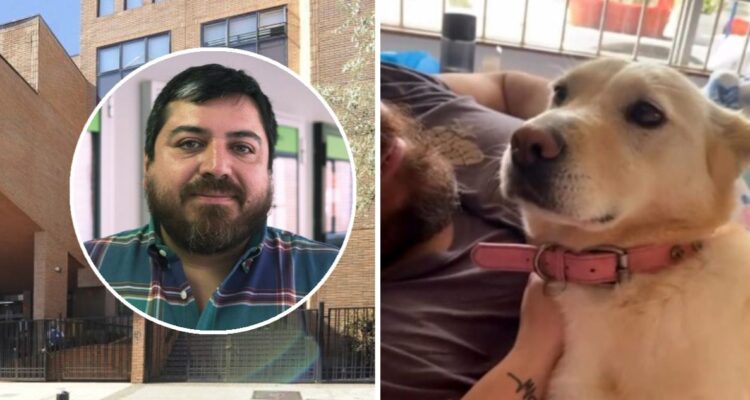 Sigue desesperada búsqueda de perrita: su dueño falleció mientras la paseaba en Concepción