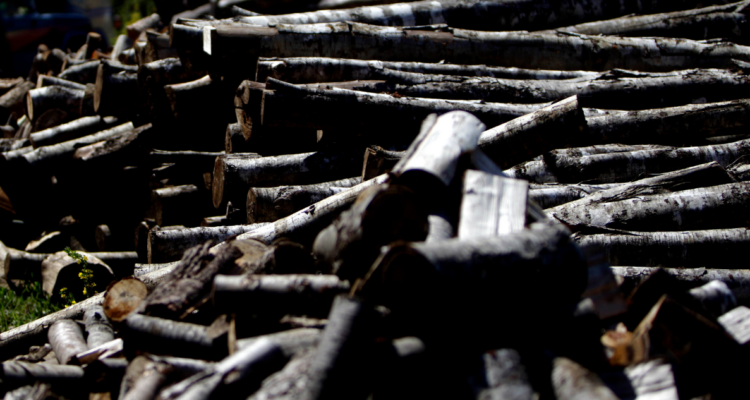 Madera por causa que involucra a comuneros en Panguipulli