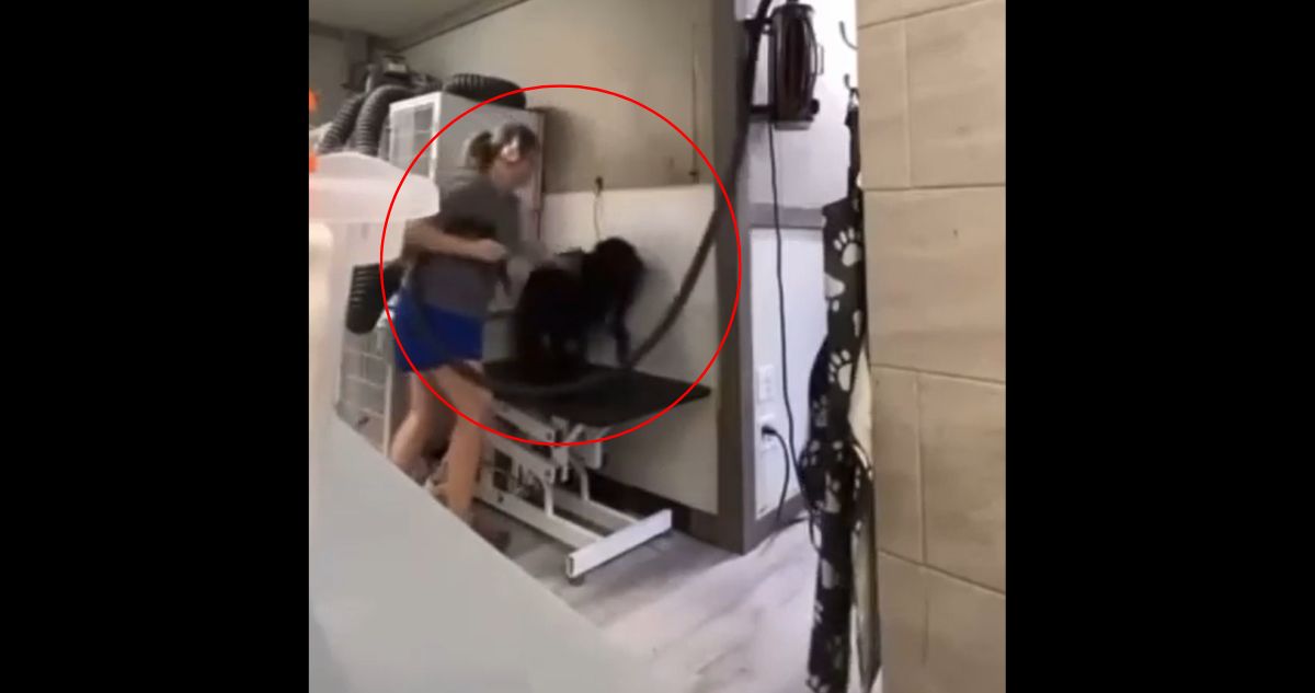 VIDEO | Indignación genera peluquera canina que daba brutales golpizas a perros en Estados Unidos
