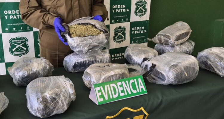 Decomisan más de mil millones de pesos en marihuana durante control en Ñuble