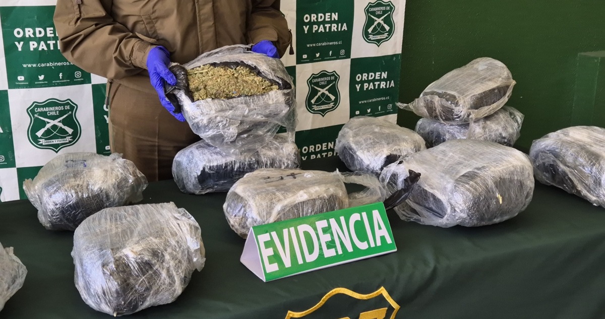 Decomisan más de mil millones de pesos en marihuana durante control en Ñuble