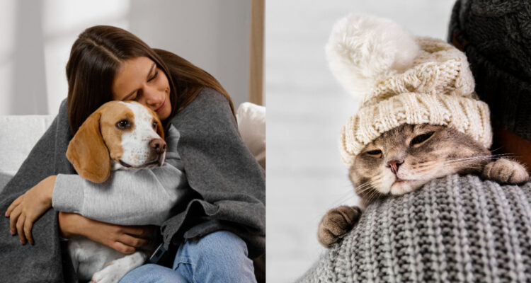 ¿Cómo alimentar a tu mascota en invierno? Experta entrega consejos para cuidar su salud esta temporada