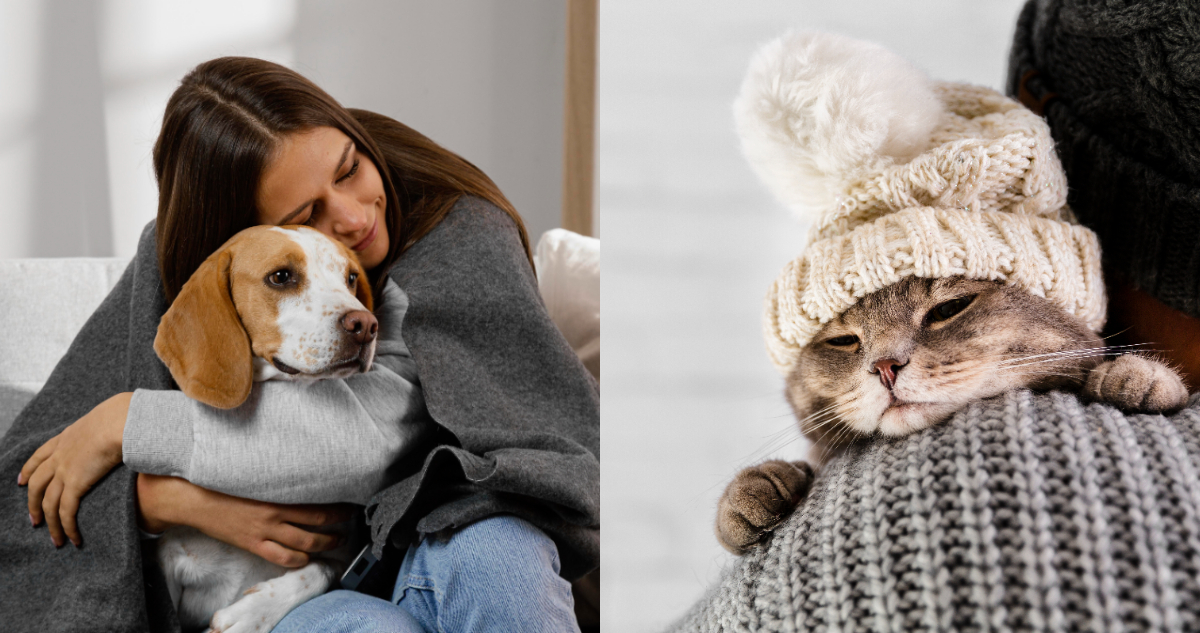 ¿Cómo alimentar a tu mascota en invierno? Experta entrega consejos para cuidar su salud esta temporada