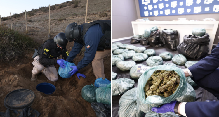 12 chilenos y 2 colombianos son detenidos en megaoperativo en Coquimbo: guardaban cannabis bajo tierra