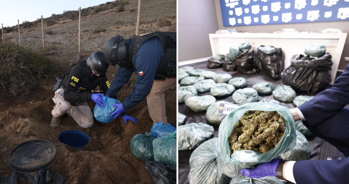 12 chilenos y 2 colombianos son detenidos en megaoperativo en Coquimbo: guardaban cannabis bajo tierra