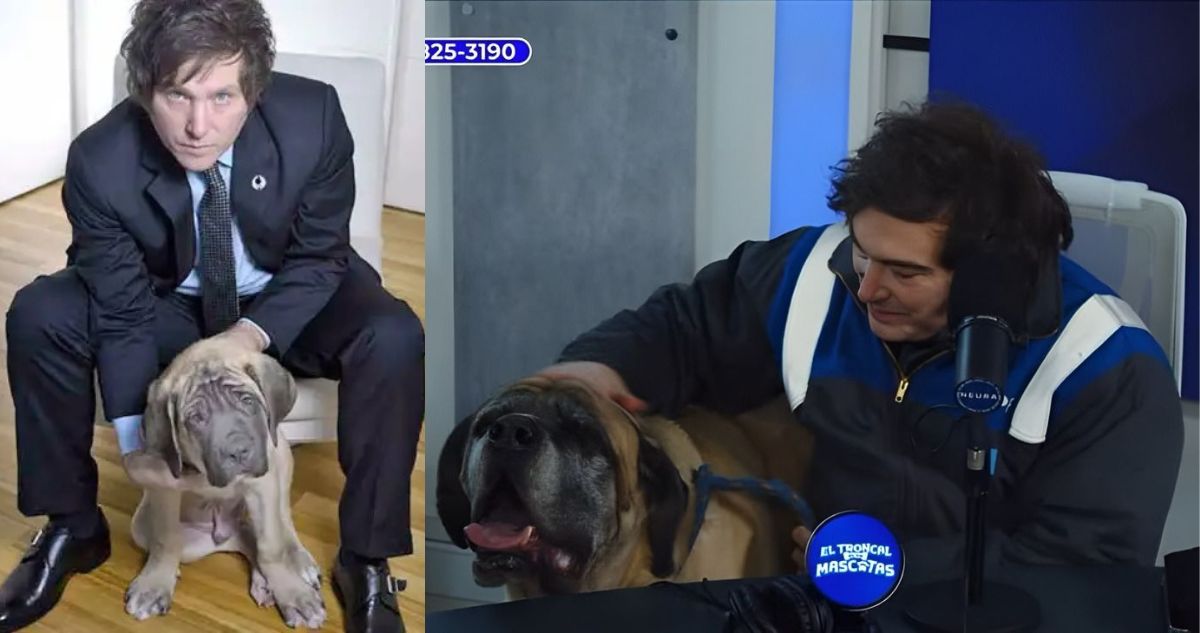 Milei acaba con el misterio tras presentar a Conan II: cree que es “la reencarnación” de Conan I