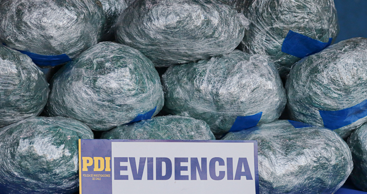 Narcotráfico, El mejor negocio del crimen organizado. Columna de Ana María Gazmuri
