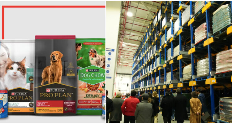 Con millonaria inversión, Nestlé elige a Chile para su hub internacional de alimentos para mascotas