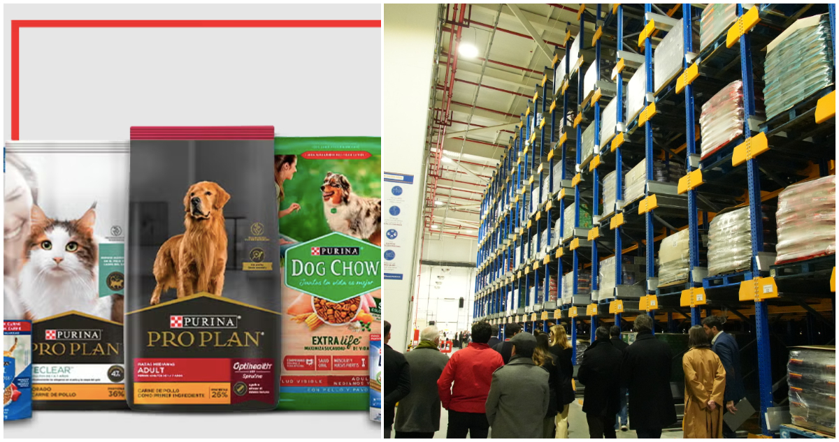 Con millonaria inversión, Nestlé elige a Chile para su hub internacional de alimentos para mascotas