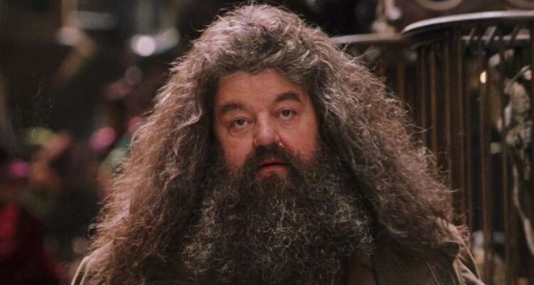 Liberan primeras imágenes de Nick Frost como Hagrid en nuevo adelanto de la serie de Harry Potter