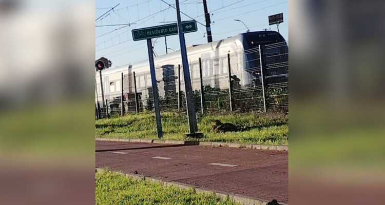 Niño de 12 años atropellado por el Biotren en Talcahuano