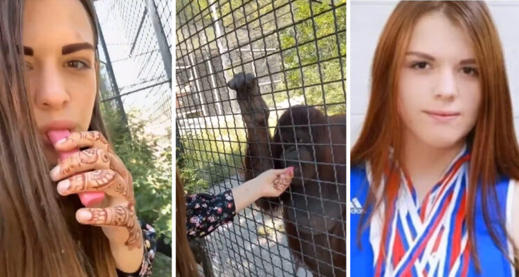 Peleadora Luchkina le dio vaporizador a simio en peligro de extinción.