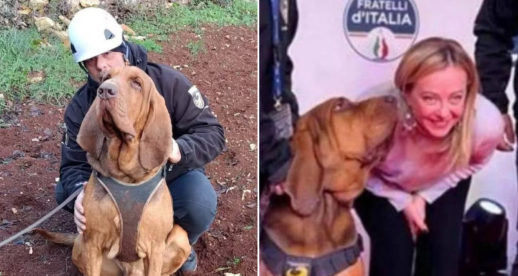 Muerte del perro Bruno en Italia