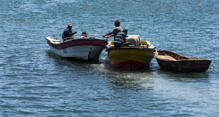 Acuerdo único en el país: publican resolución que autoriza a pescadores de Los Lagos operar en Aysén