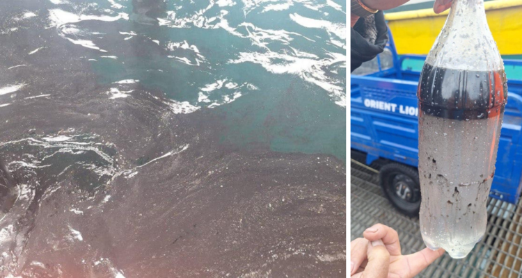 Derrame de petróleo en caleta El Membrillo de Valparaíso acusado por pescadores