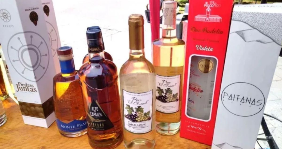 Histórico fallo de la Justicia en India otorgó denominación de origen al pisco chileno