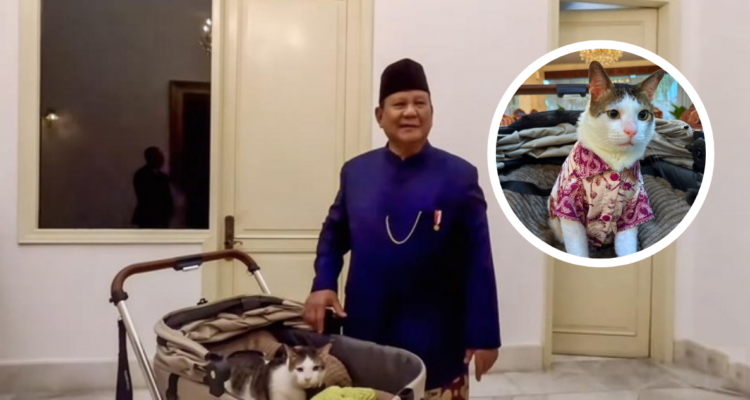 Polémica en Indonesia por video que muestra a tierno gato presidencial con escolta personal