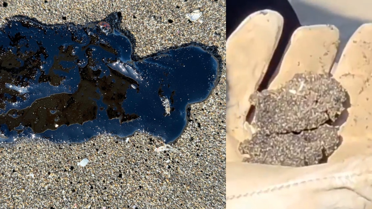 La Armada investiga el origen de un compuesto químico, posiblemente hidrocarburos, en el borde costero de Quintero, en la Playa Ritoque.