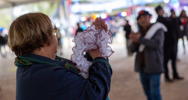 Ramadas 2025 se realizarán en Estadio Ester Roa de Concepción