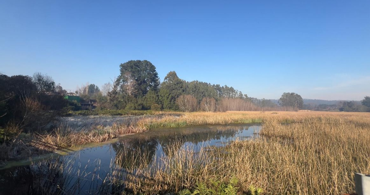 Valdivia Ciudad Humedal