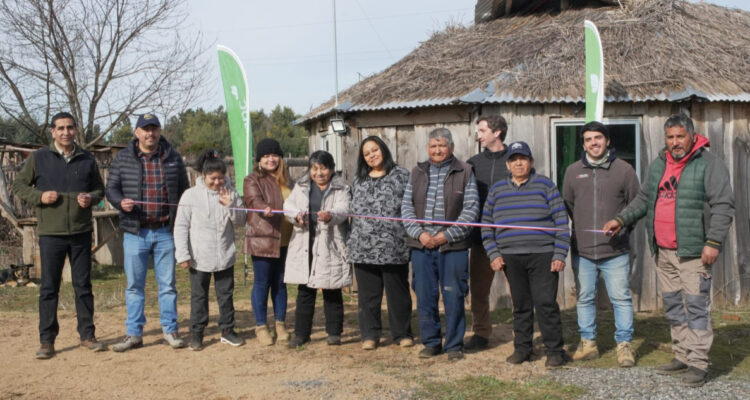 “Era una necesidad muy grande”: iniciativa renovó hogares de comunidades mapuche en Collipulli